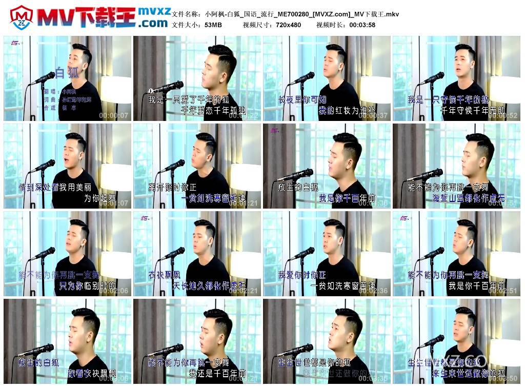 小阿枫-白狐_国语_流行_ME700280